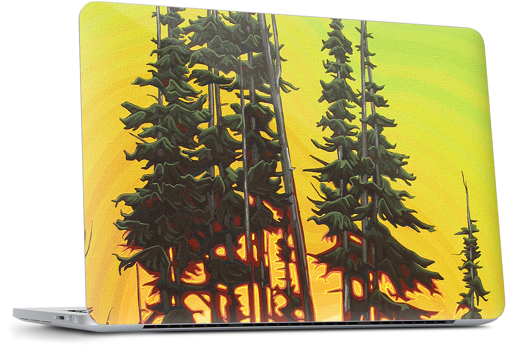 Green Skies At Night MacBook Skin