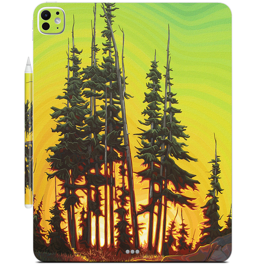 Green Skies At Night iPad Skin