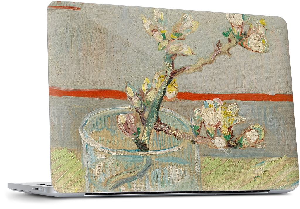 Spring of Flowering Almond in a Glass MacBook Skin