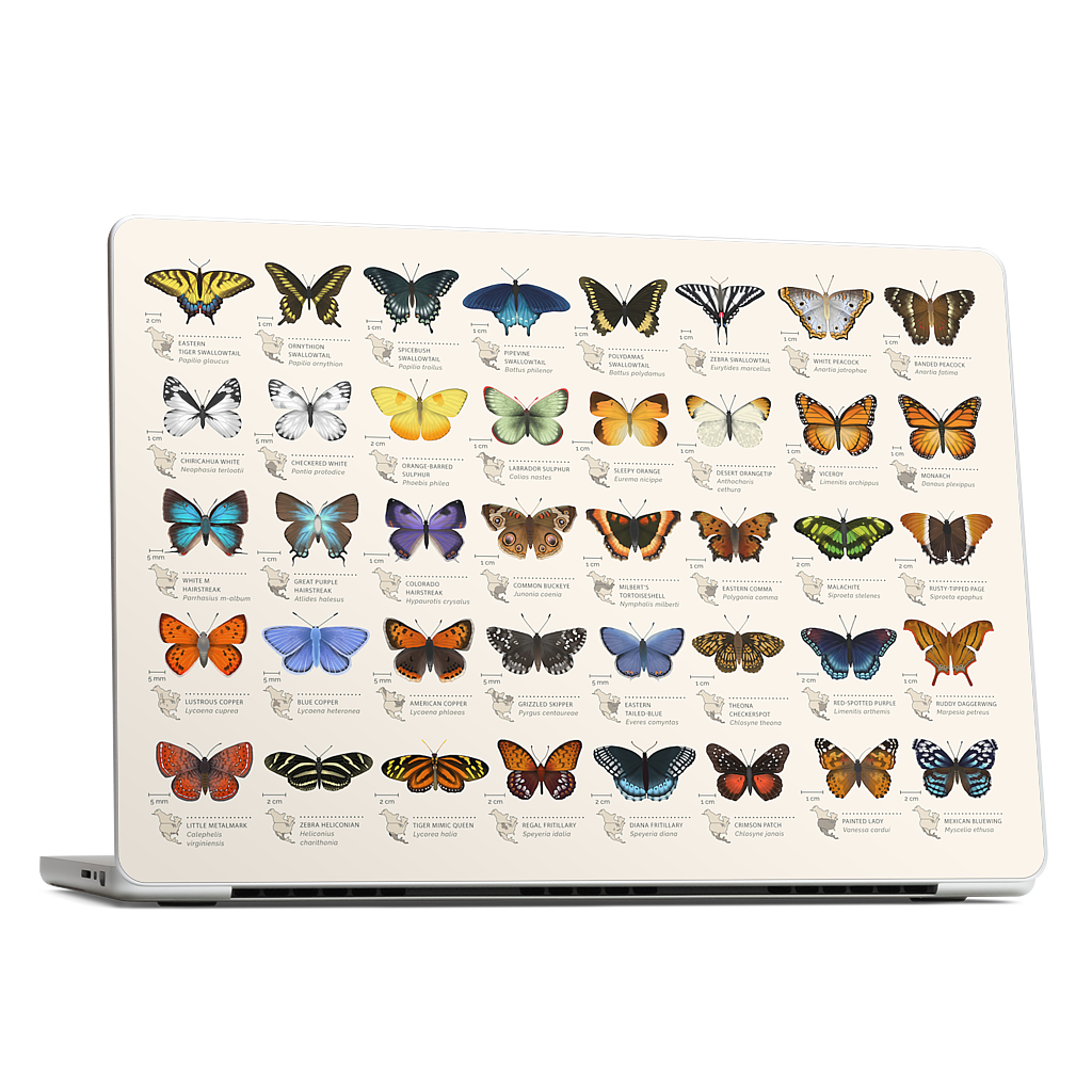 42 North American butterflies MacBook Skin