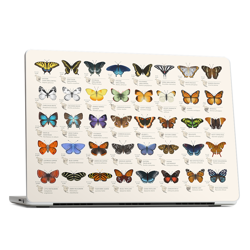 42 North American butterflies MacBook Skin