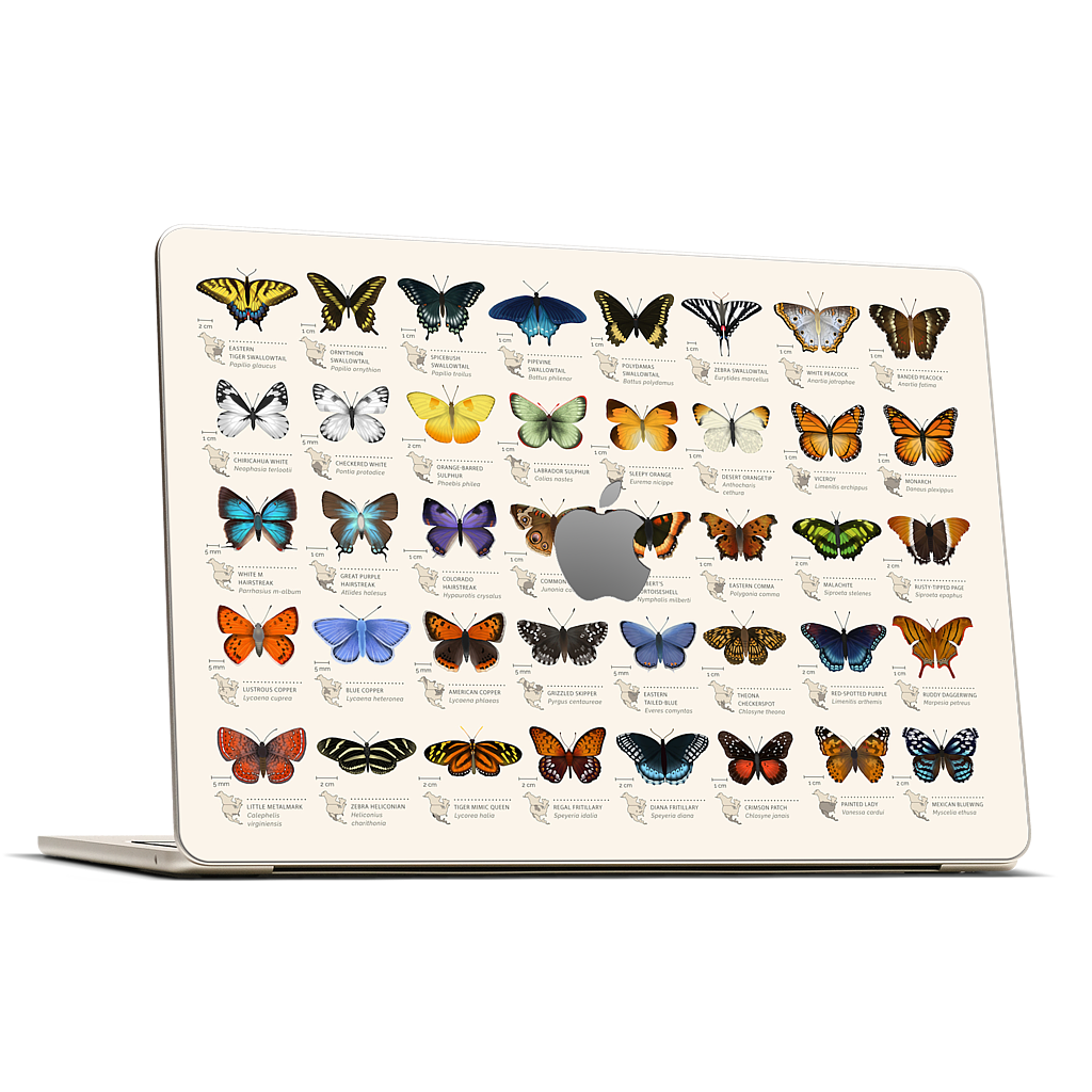 42 North American butterflies MacBook Skin