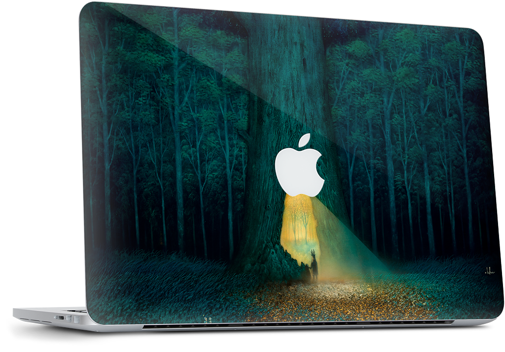 Beyond the Familiar MacBook Skin