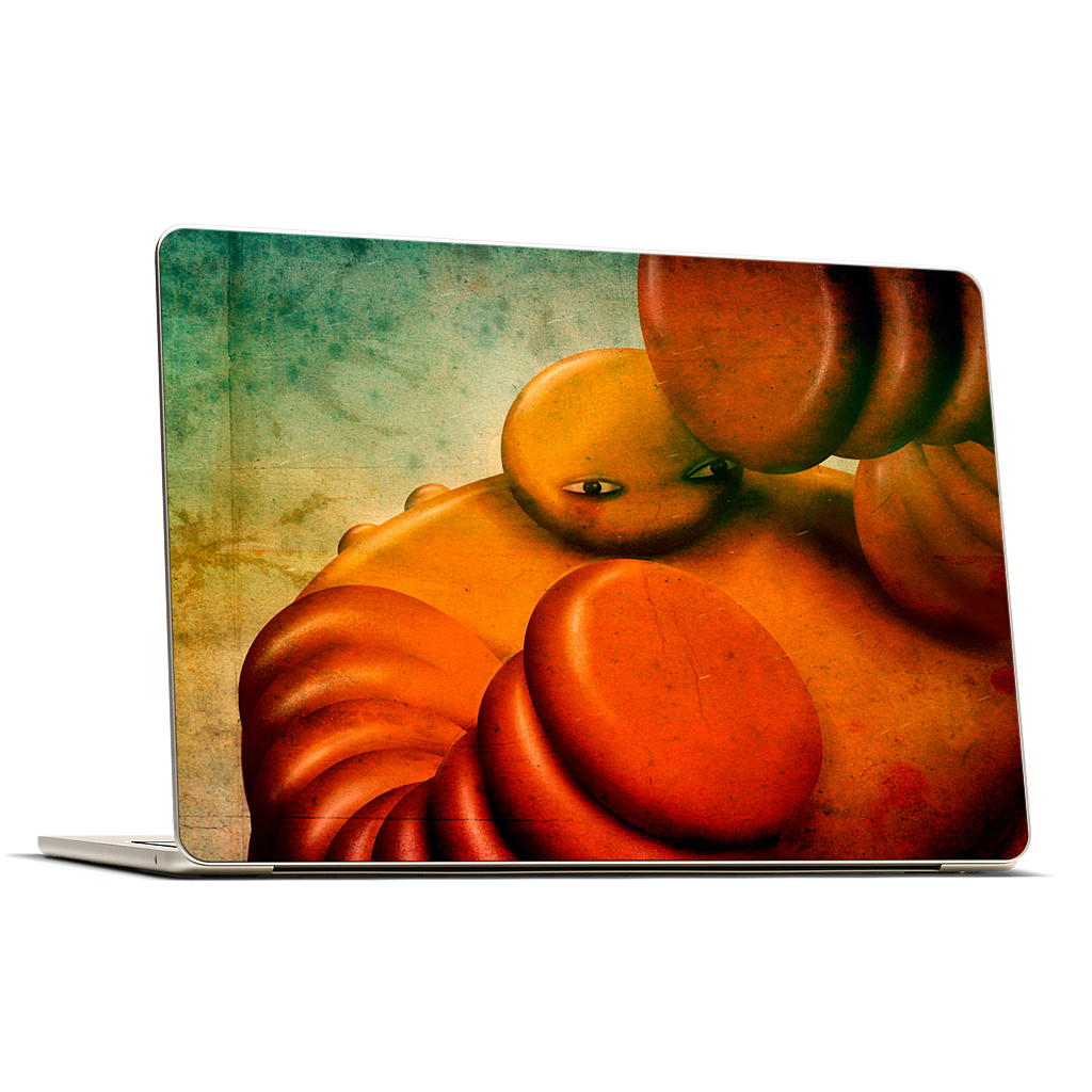 Sun MacBook Skin