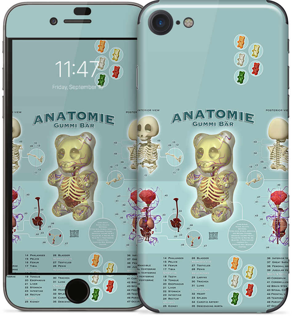 Gummi Anatomie iPhone Skin