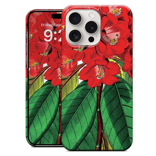 Custom iPhone Case - c499d6ad