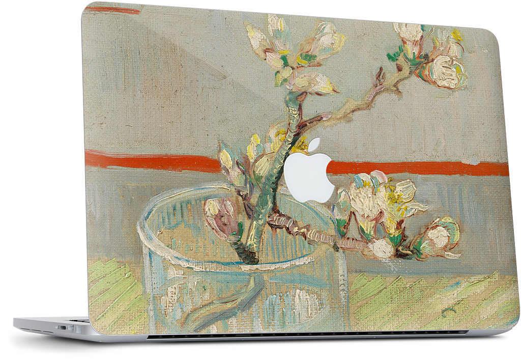 Spring of Flowering Almond in a Glass MacBook Skin