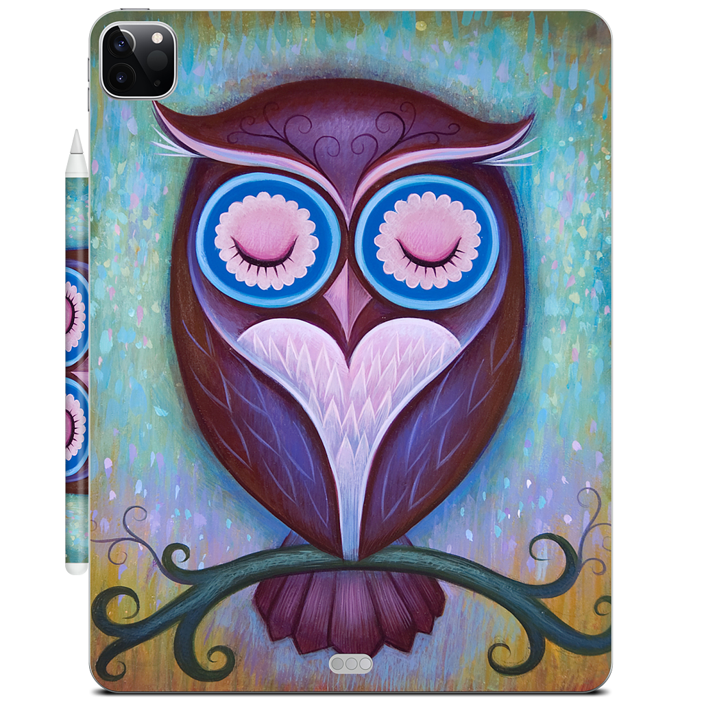 Sleepy Owl iPad Skin
