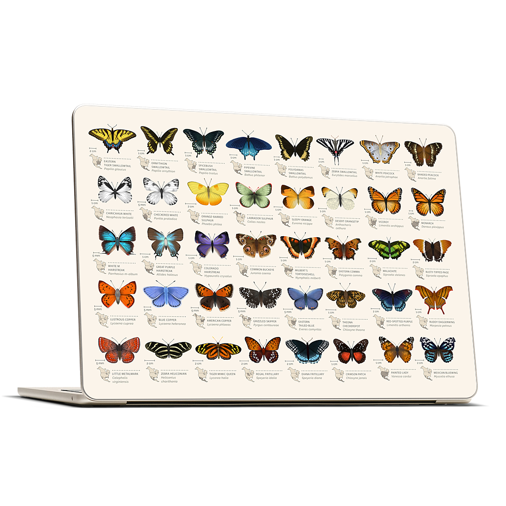 42 North American butterflies MacBook Skin