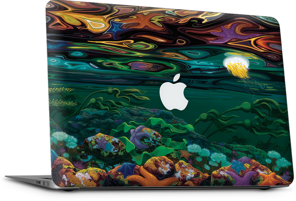 Burnaby Narrows MacBook Skin