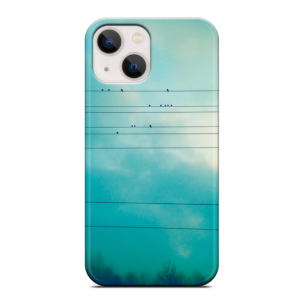 Birds on a wire iPhone Case