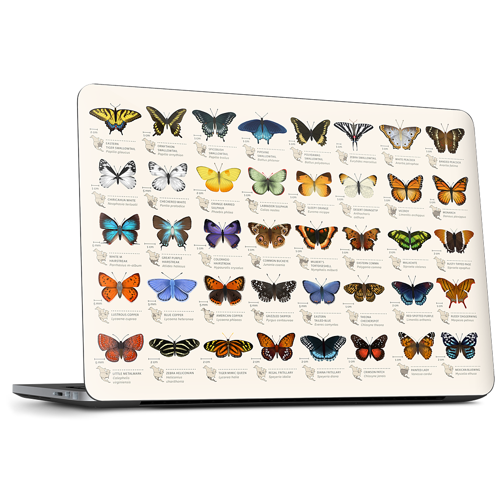 42 North American butterflies Dell Laptop Skin