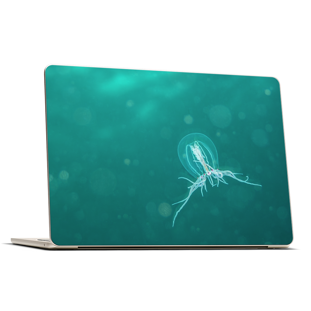 Custom MacBook Skin - e3dc685f
