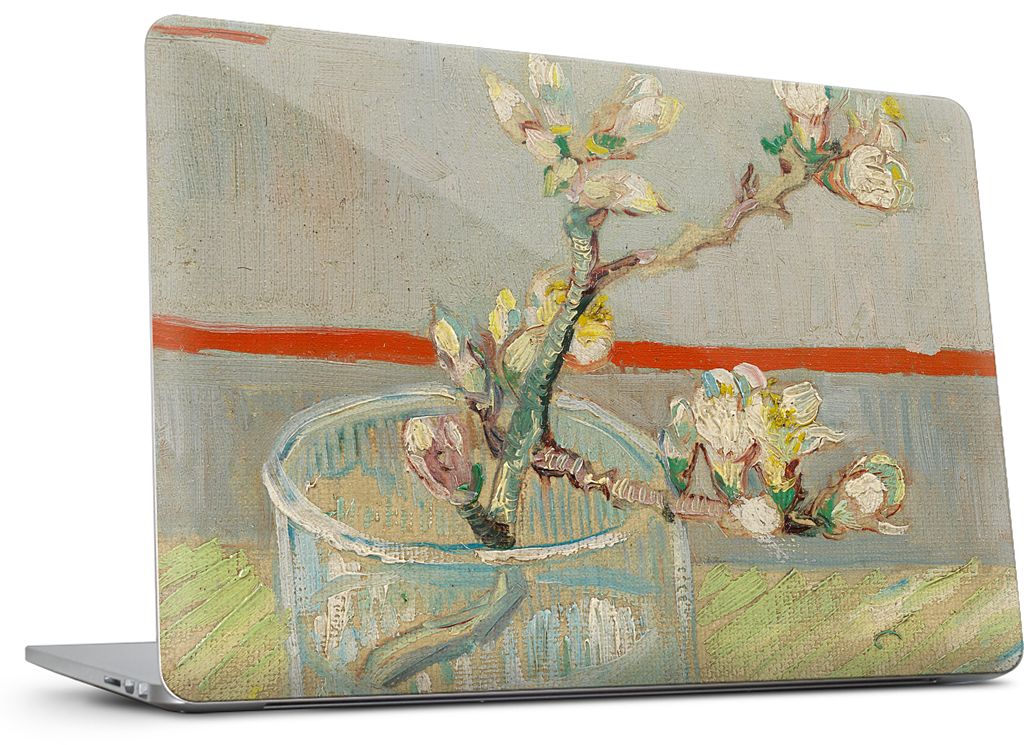 Spring of Flowering Almond in a Glass MacBook Skin