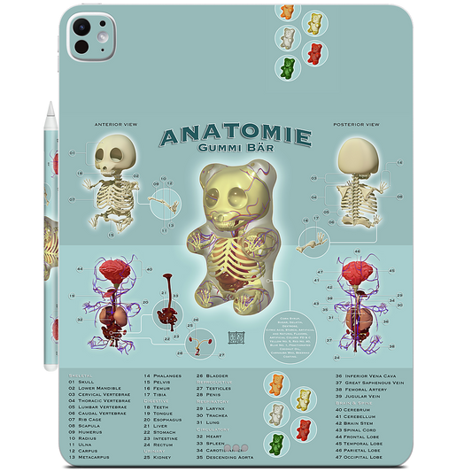 Gummi Anatomie iPad Skin