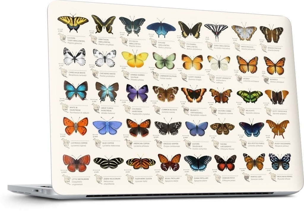 42 North American butterflies MacBook Skin