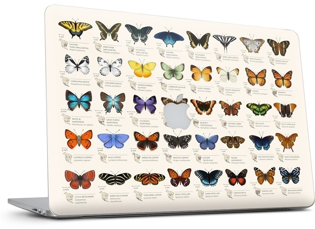 42 North American butterflies MacBook Skin