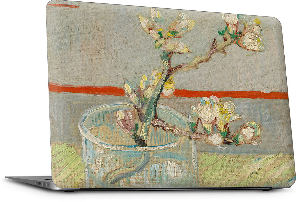 Spring of Flowering Almond in a Glass MacBook Skin