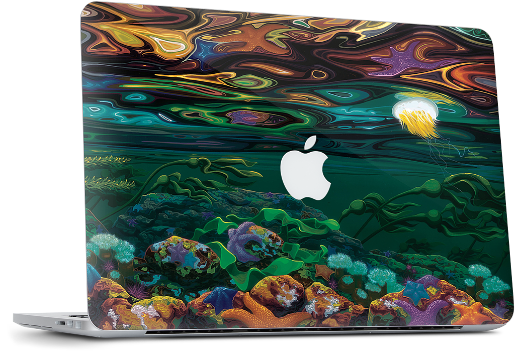 Burnaby Narrows MacBook Skin