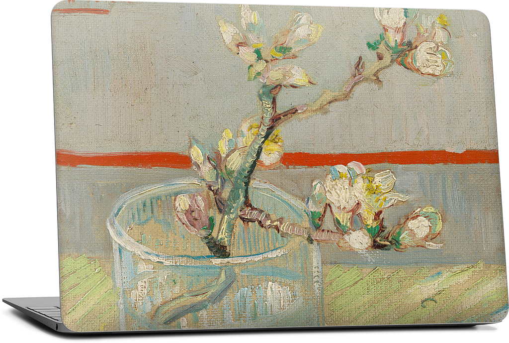 Spring of Flowering Almond in a Glass MacBook Skin