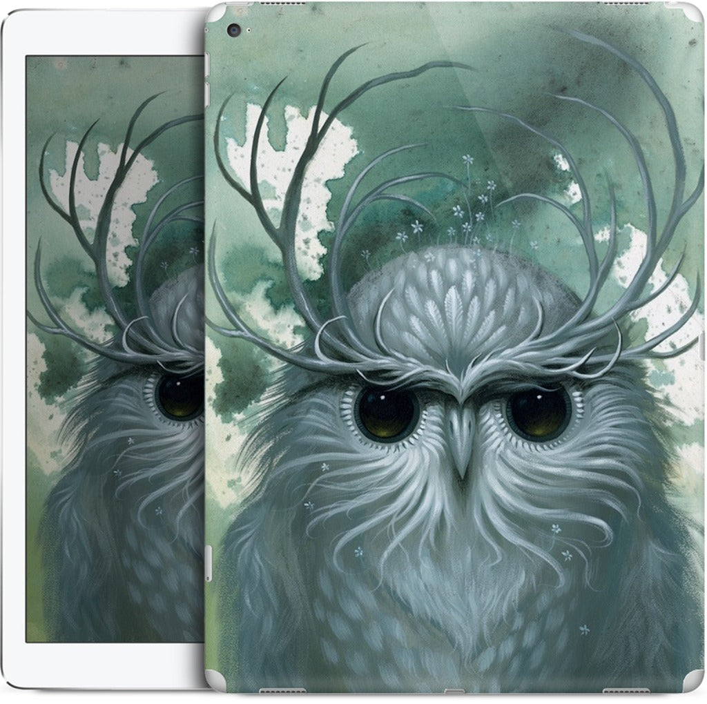 Snow Owl iPad Skin