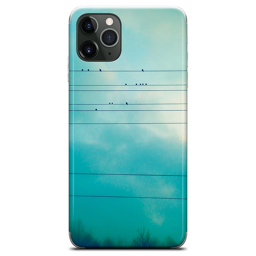 Birds on a wire iPhone Skin
