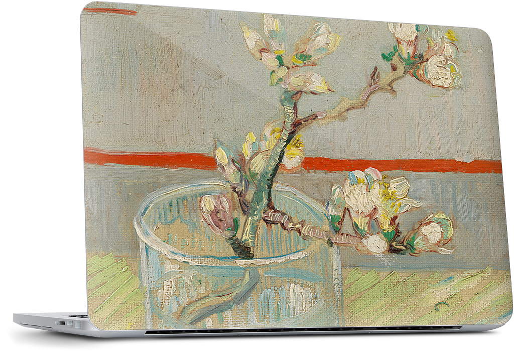 Spring of Flowering Almond in a Glass MacBook Skin