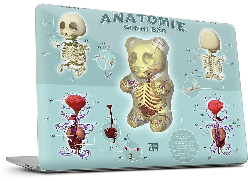 Gummi Anatomie MacBook Skin