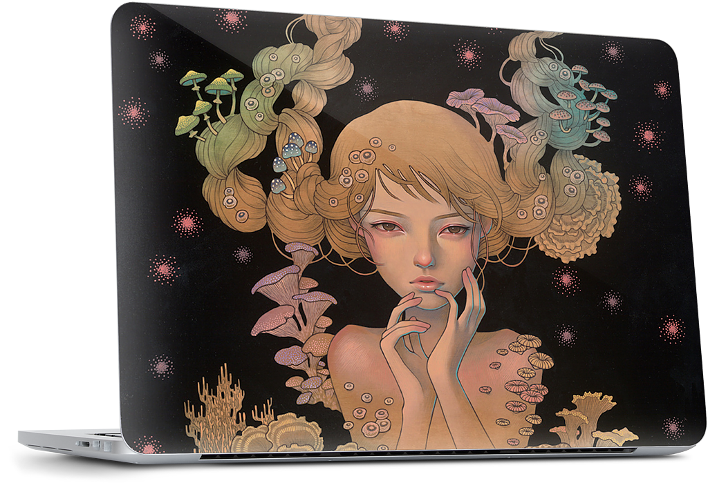Offering MacBook Skin