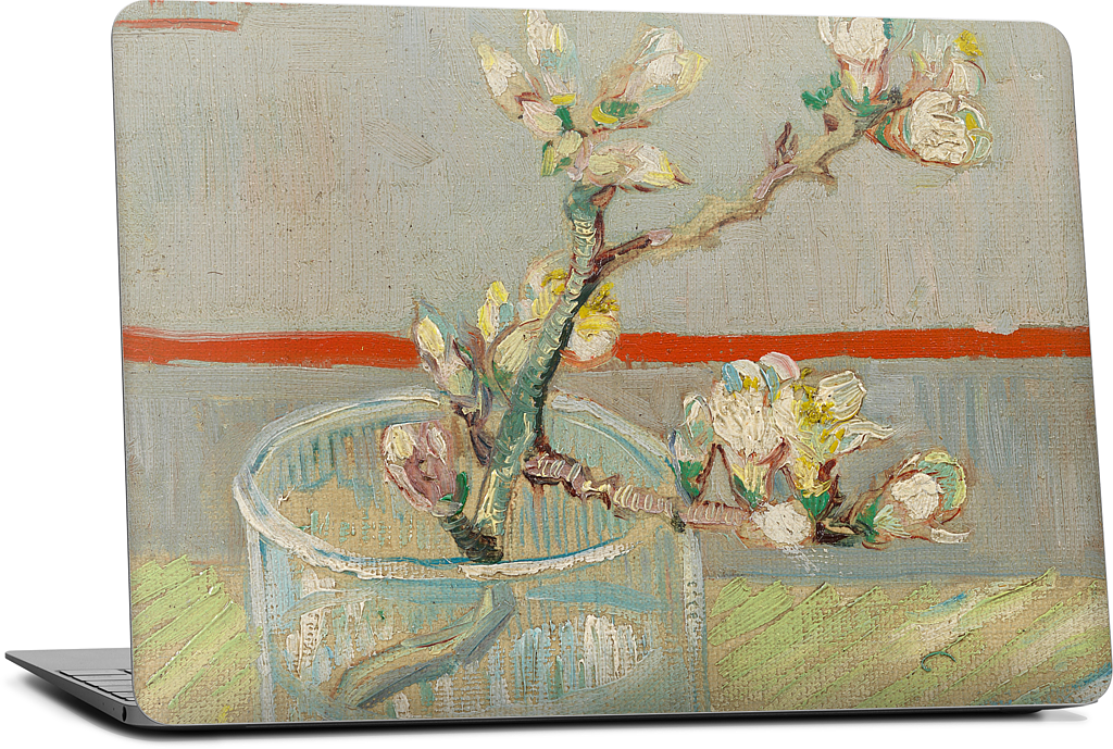 Spring of Flowering Almond in a Glass MacBook Skin