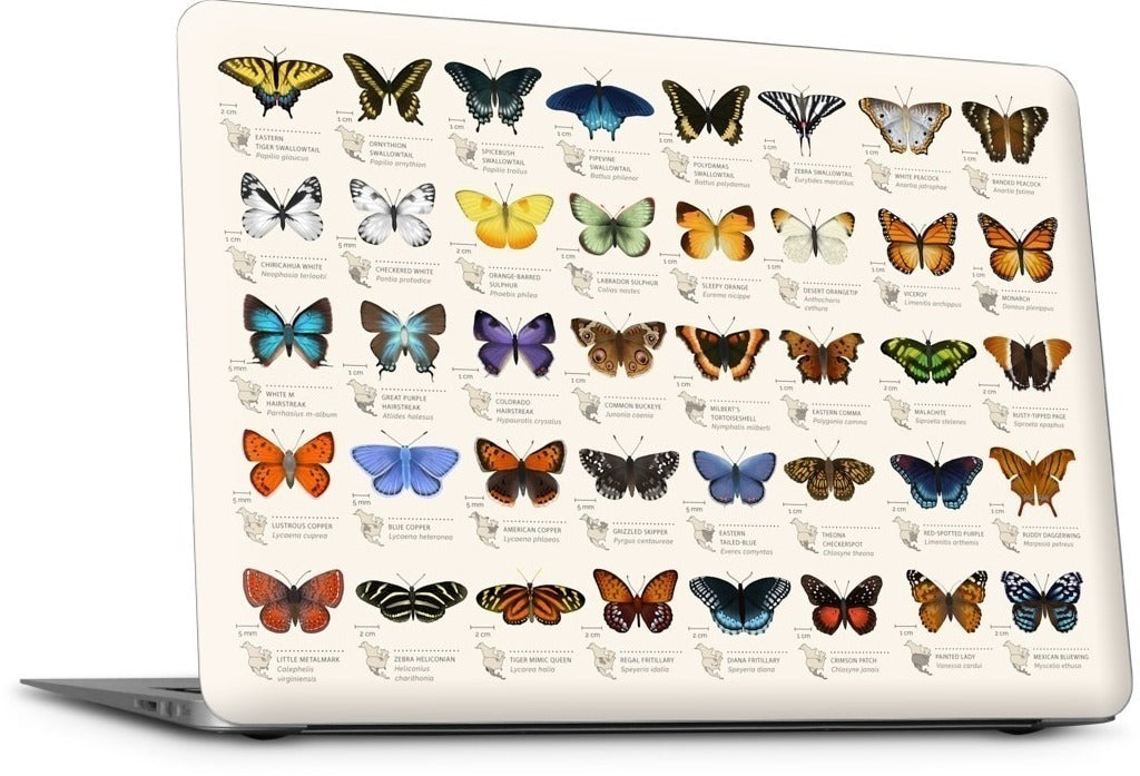 42 North American butterflies MacBook Skin