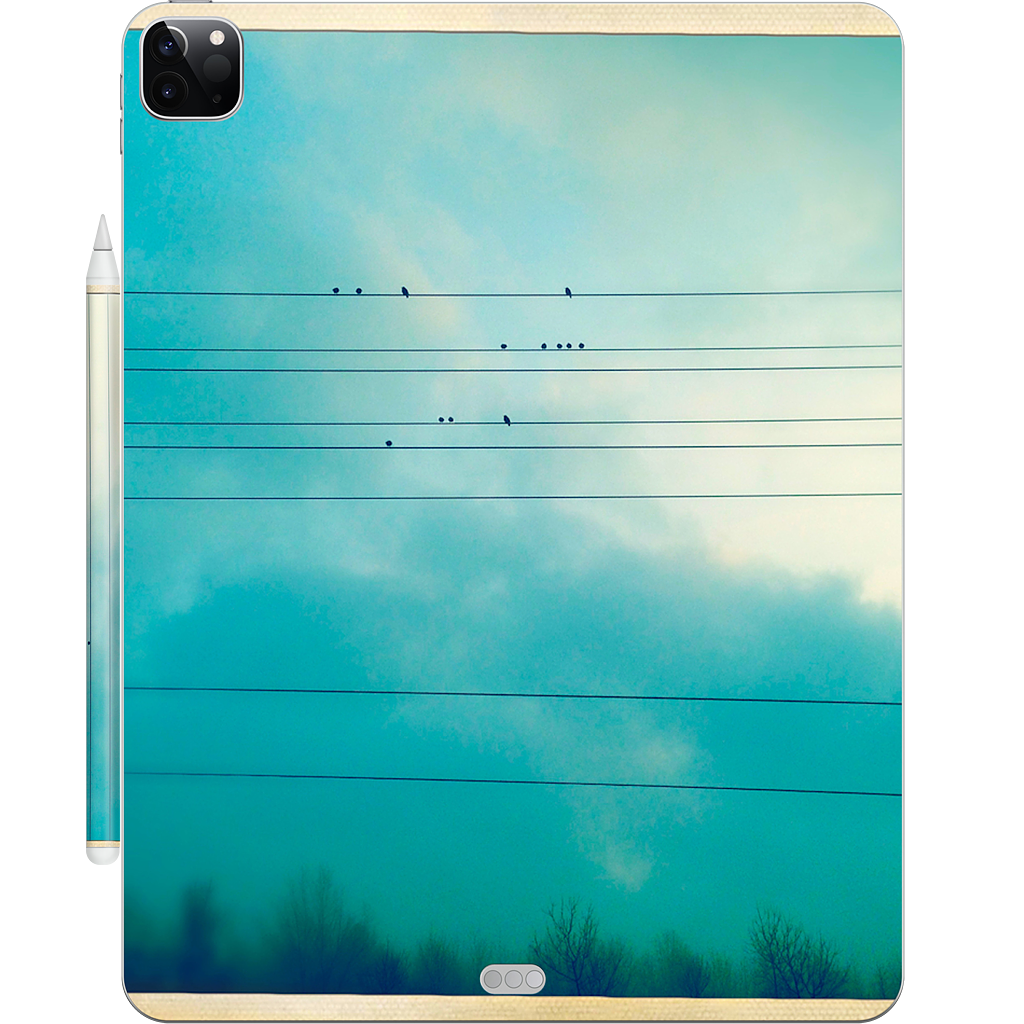 Birds on a wire iPad Skin