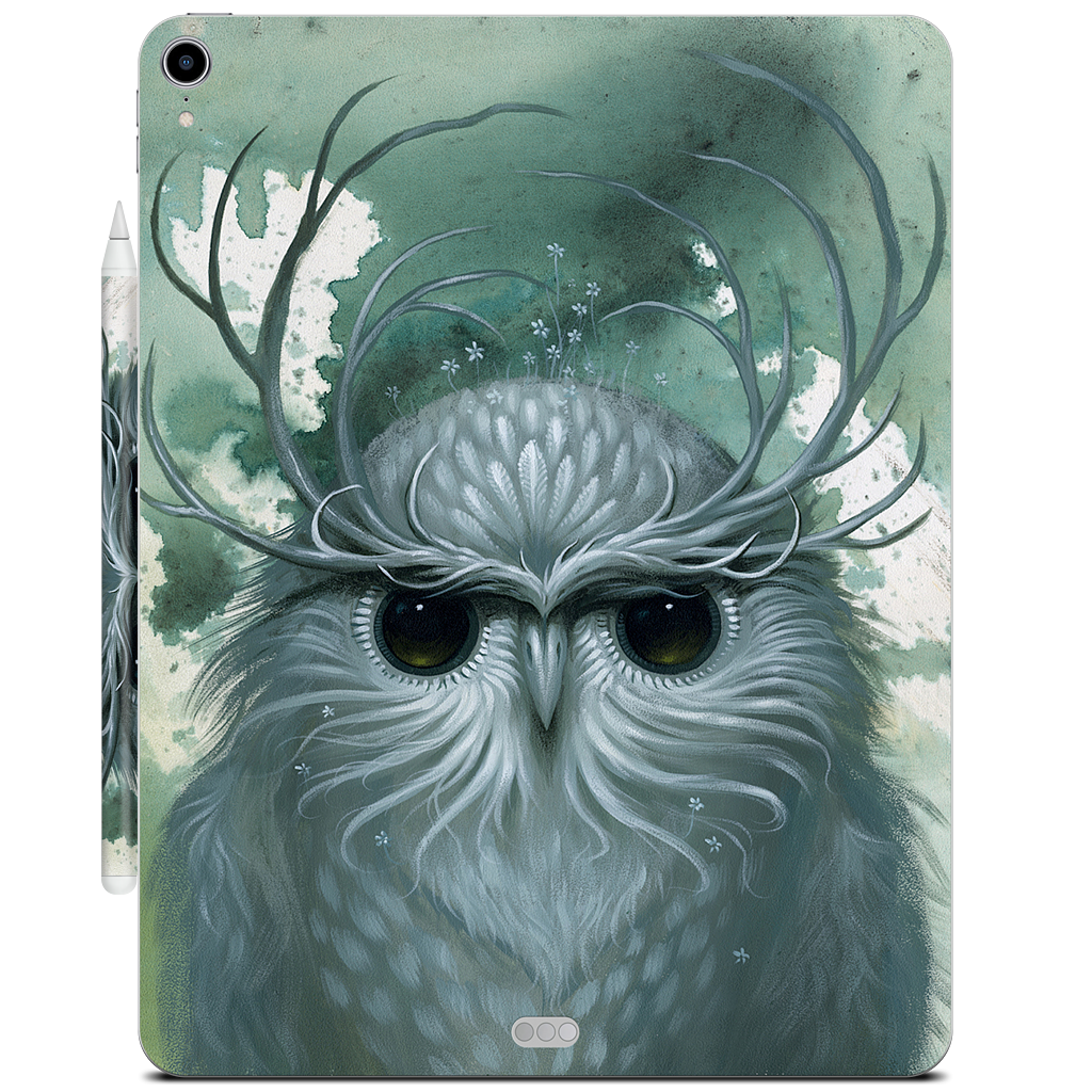Snow Owl iPad Skin