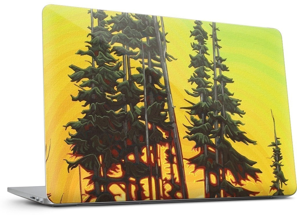 Green Skies At Night MacBook Skin