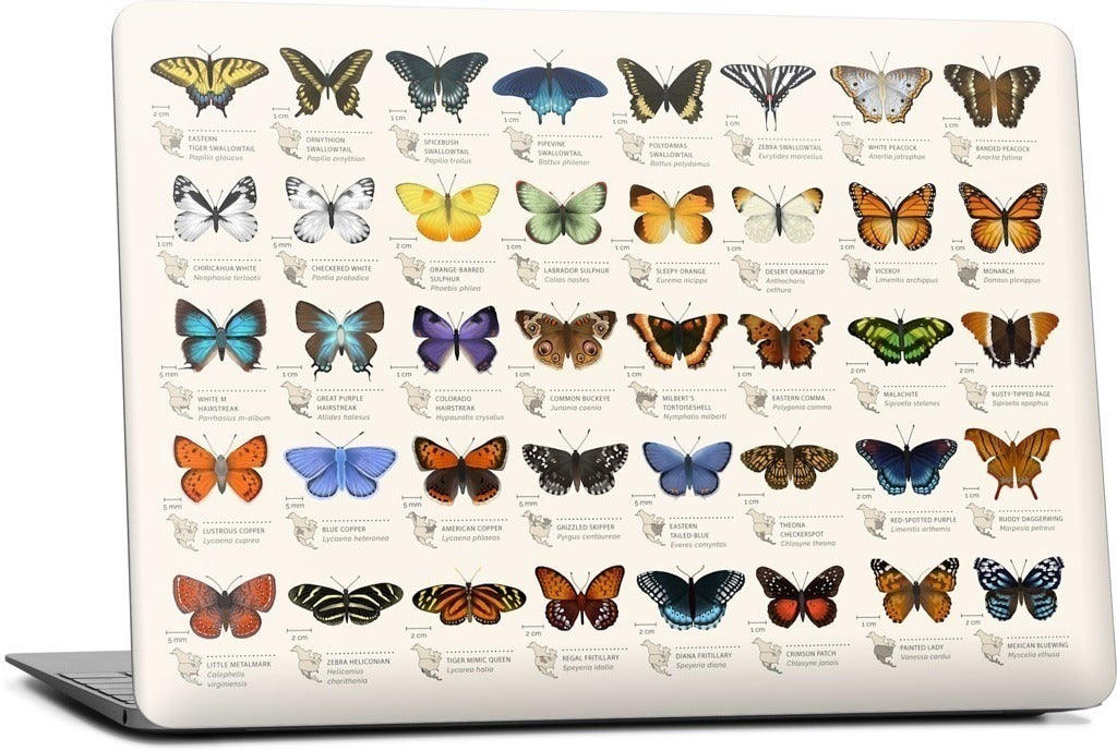 42 North American butterflies MacBook Skin