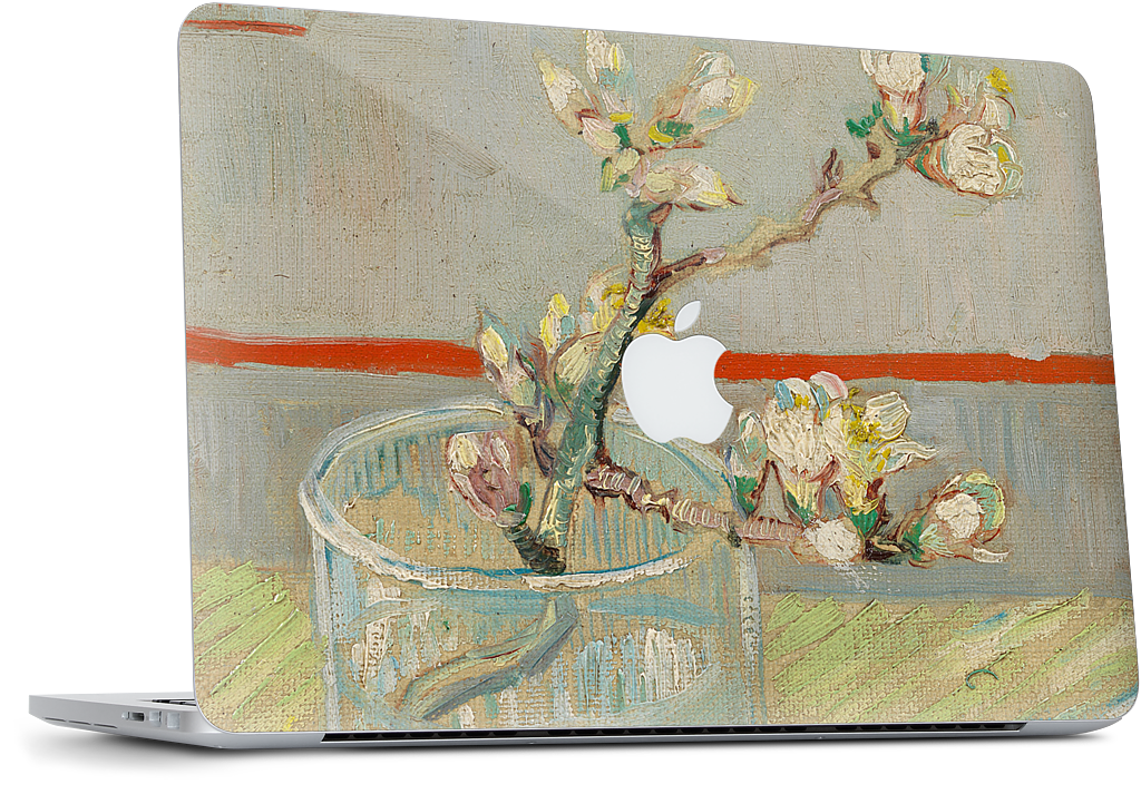 Spring of Flowering Almond in a Glass MacBook Skin