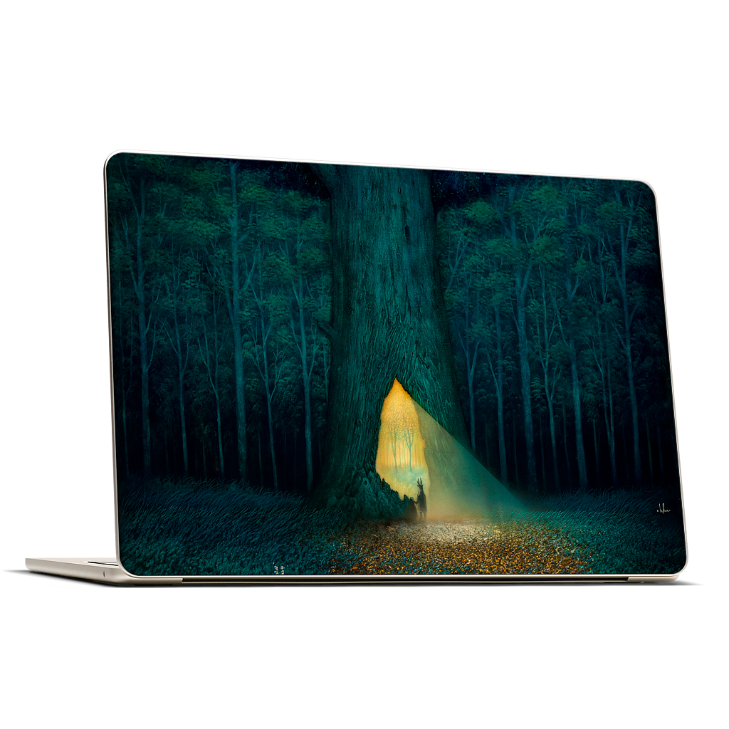 Beyond the Familiar MacBook Skin
