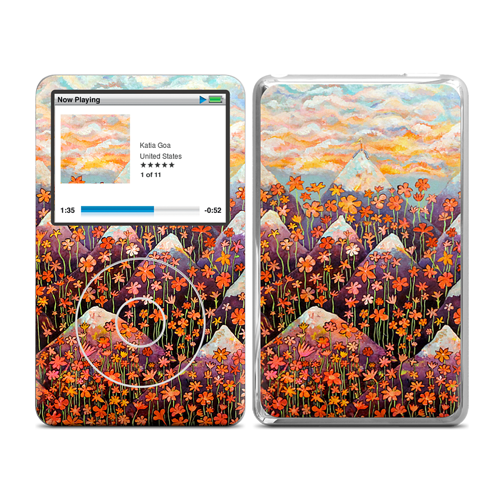 Nice iPod Skin