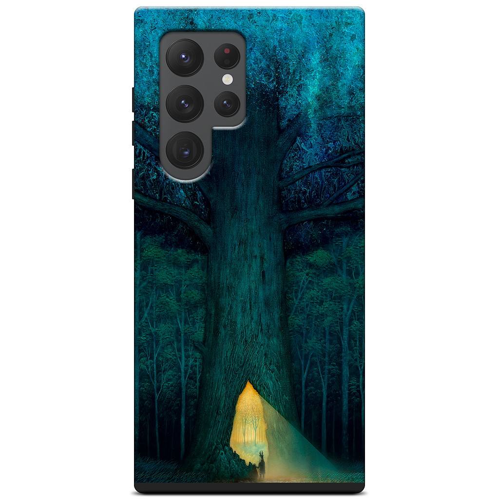 Beyond the Familiar Samsung Case