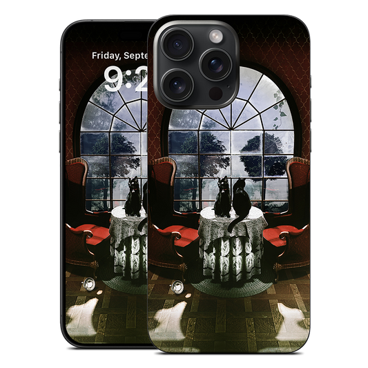 Room Skull iPhone Skin