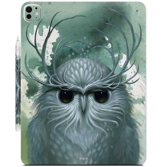 Snow Owl iPad Skin