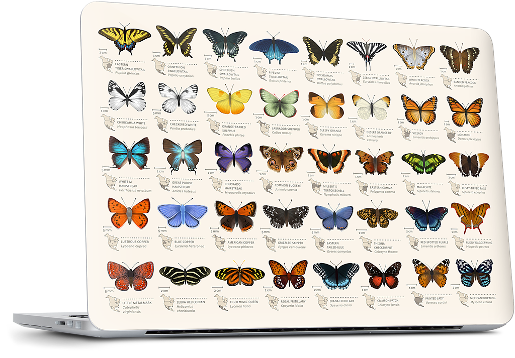 42 North American butterflies MacBook Skin
