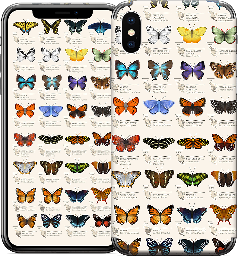 42 North American butterflies iPhone Skin