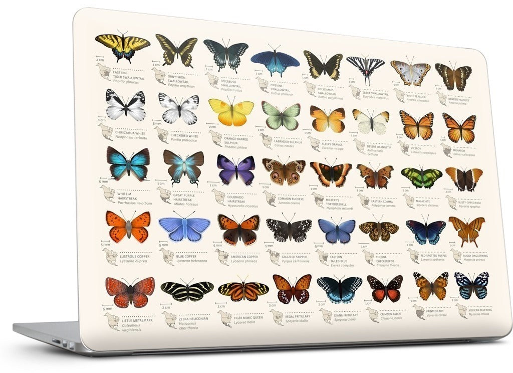 42 North American butterflies MacBook Skin