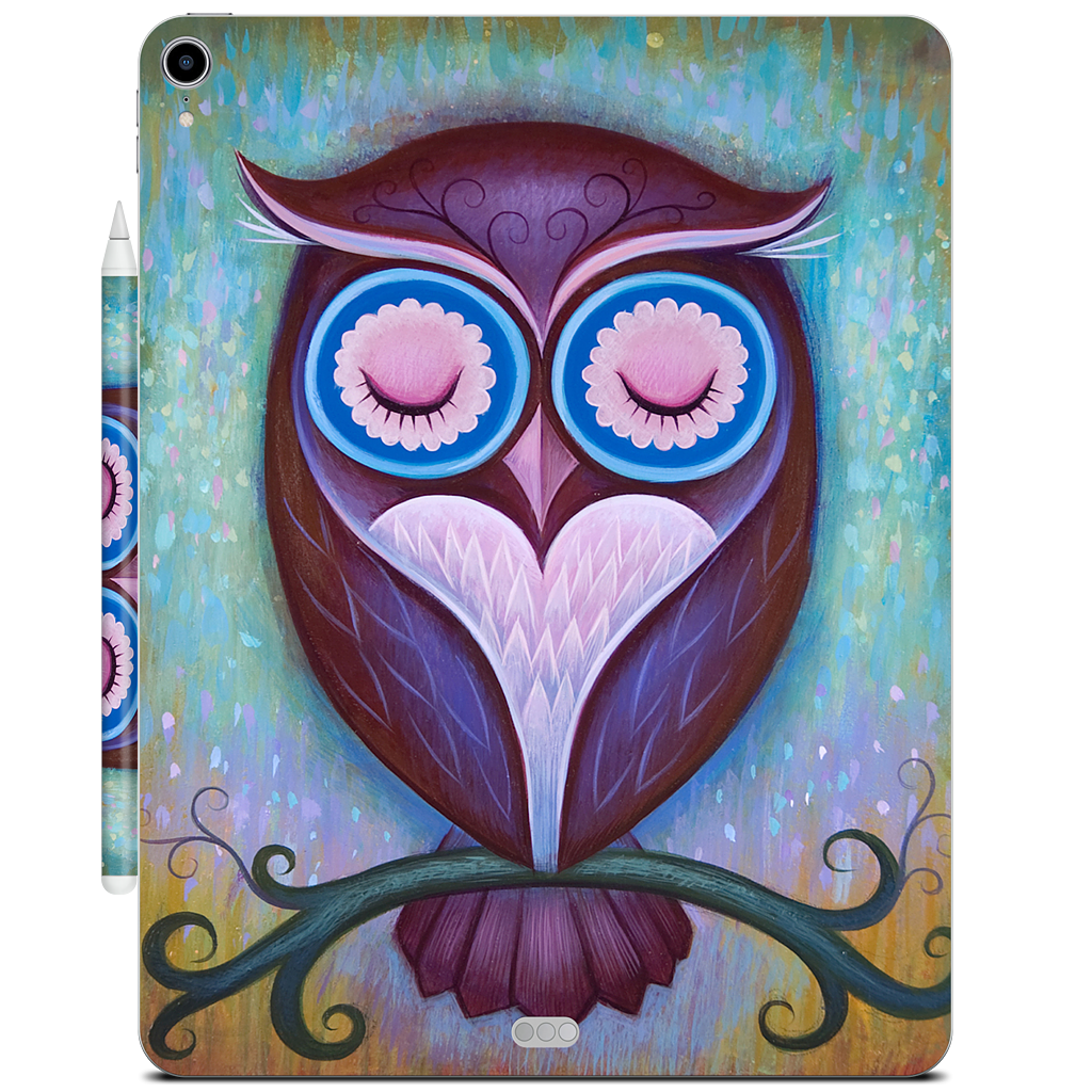 Sleepy Owl iPad Skin