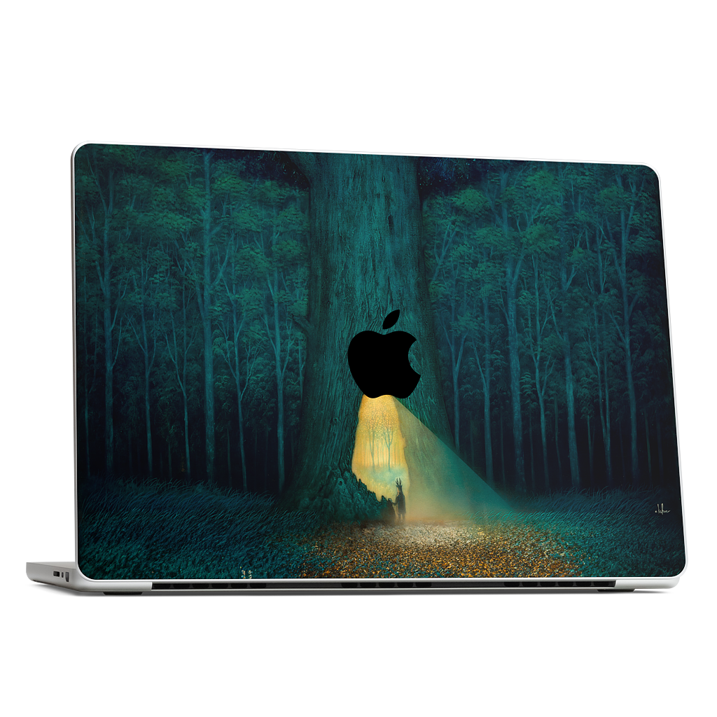 Beyond the Familiar MacBook Skin