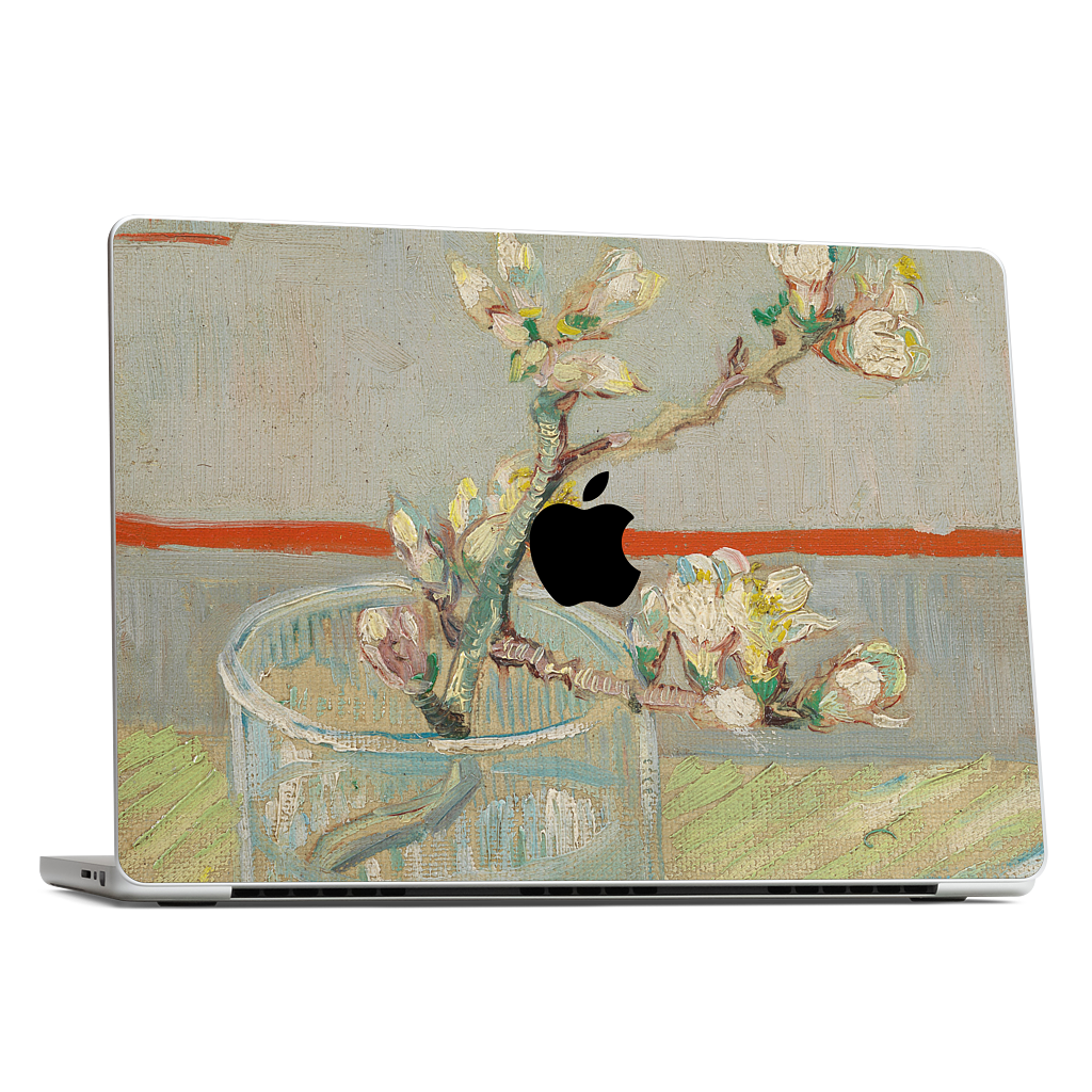 Spring of Flowering Almond in a Glass MacBook Skin