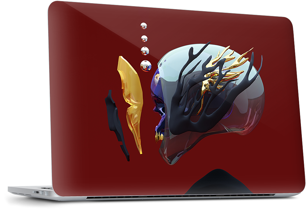 Portrait 043: The Indifference MacBook Skin