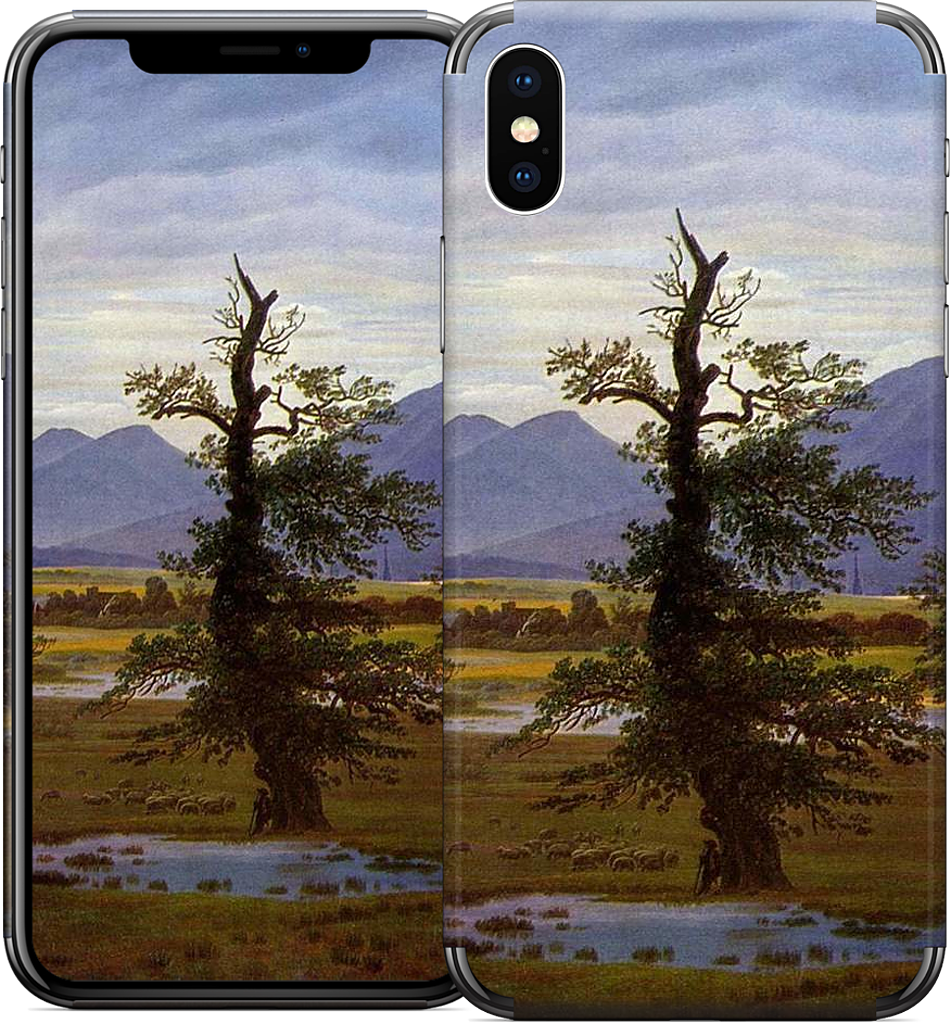 Lone Tree iPhone Skin