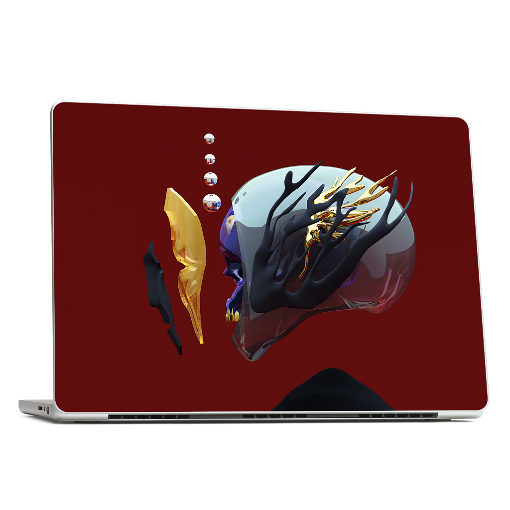 Portrait 043: The Indifference MacBook Skin